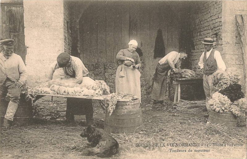 008 19000000s RURAL LIFE IN NORMANDY 11.jpg